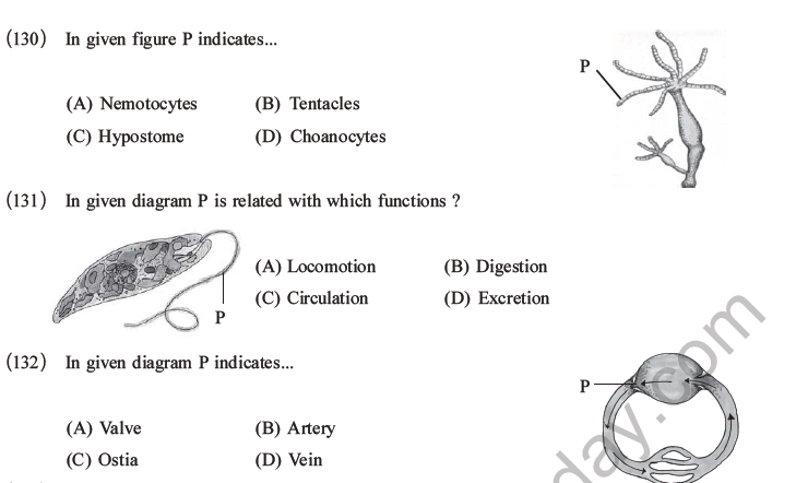 NEET Biology Classification Of Animal Kingdom MCQs Set A, Multiple ...